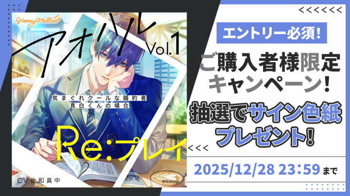 【真作】SM 安藤絵流【蒼の輝き】gallery購入品 表裏サイン有り 油彩 角箱 乳白 SM(サムホール) 油彩額縁 アクリル板仕様(sm) - 額縁 - 激安