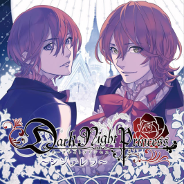 「Dark Night Princess」全巻セット Dark Night Princess」全巻セット